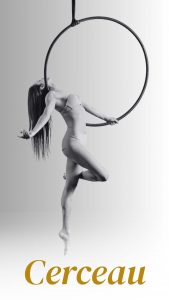 aerial hoop lyra