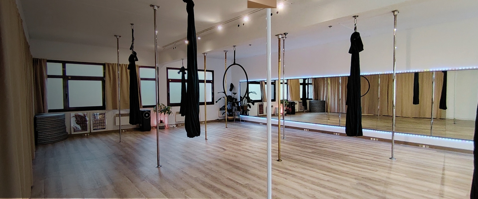 profs pole dance