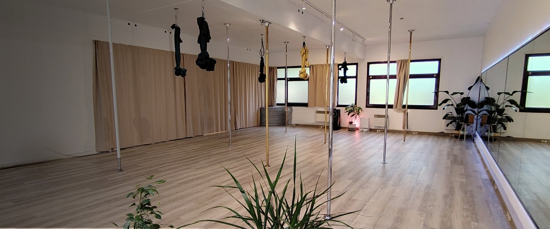 salle pole dance